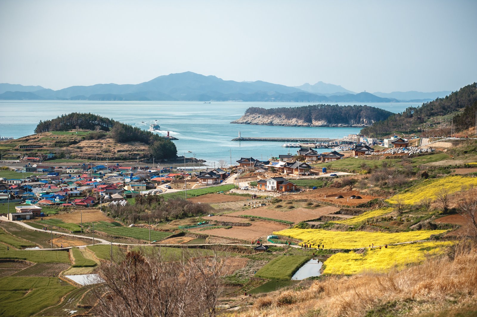 언덕에서 내려다본 섬마을. 알록달록한 지붕 집들이 바닷가에 모여 있고, 방파제로 둘러싸인 작은 항구로 배 한 척이 들어온다. 마을 둘레에 층층이 밭과 노란 유채꽃밭이 펼쳐지고, 멀리 바다 건너 산이 보인다. 밭길의 사람들은 점처럼 작다.