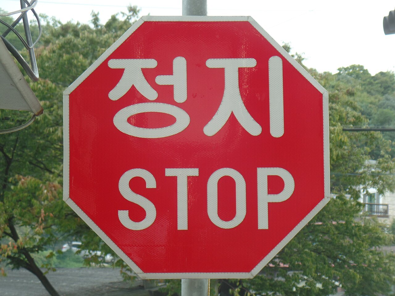 나무를 배경으로 기둥에 달린 빨간 팔각형 표지판 — 흰 글씨로 위에 '정지', 아래에 'STOP'이 적혀 있다