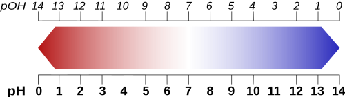 pH 척도 다이어그램