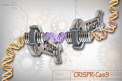 CRISPR 유전자편집