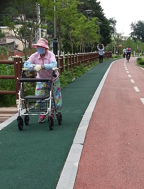 노인