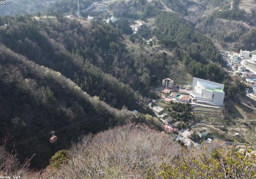 울릉도