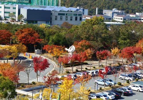 가을 - 단풍