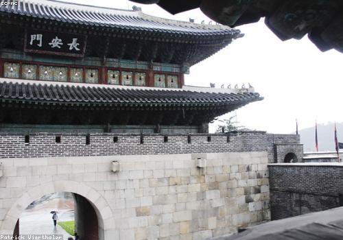 경기 신도시