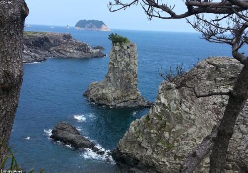 제주 해안